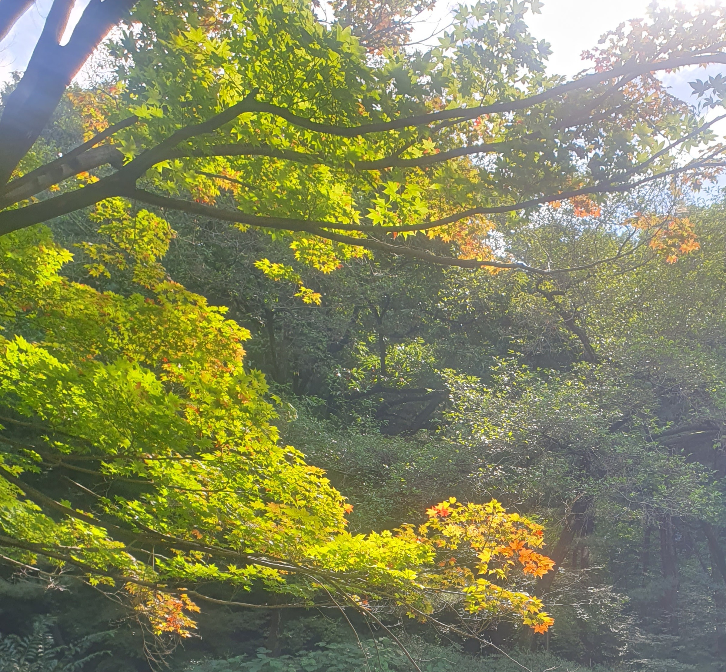 이미지